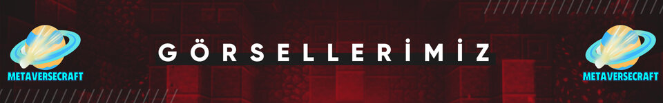 Metaversecraft 4 .jpg